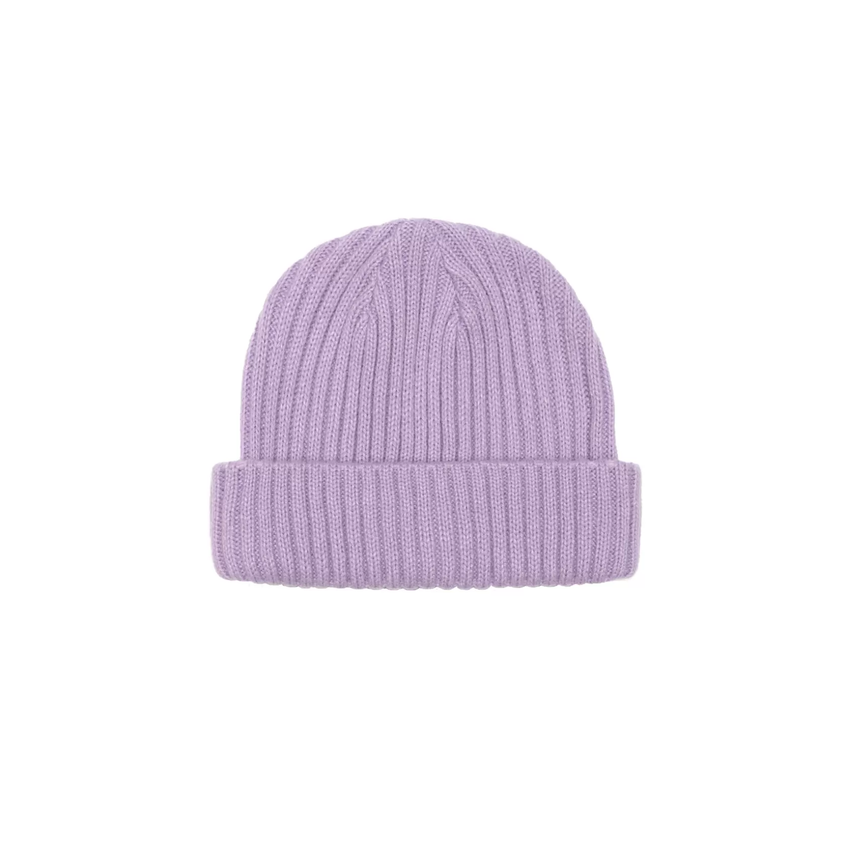 Cheap TEAM LOGO SHORT BEANIE - LAVENDER Headwear